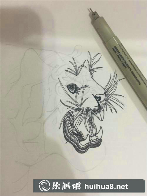 老虎插畫