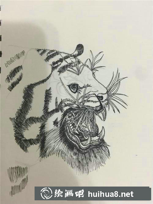 老虎插畫