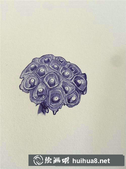 蓮蓬圓珠筆畫
