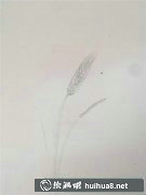 麥穗插畫教程輕松學(xué)