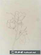 棉花插畫教程輕松學(xué)