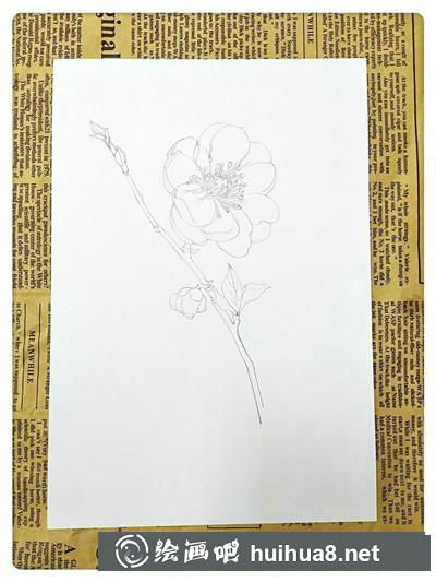 櫻花彩鉛