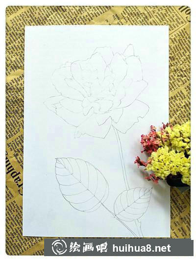 月季花彩鉛