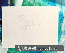 彩鉛繪牽牛花教程揭秘