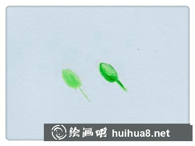 雀麥草彩鉛