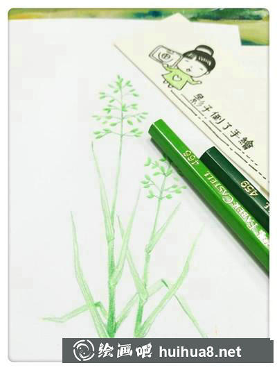 雀麥草彩鉛