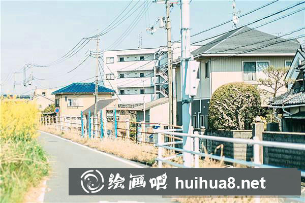 985和211大學(xué)招美術(shù)生嗎