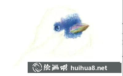 山雀彩鉛