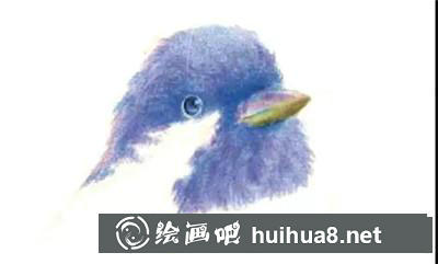山雀彩鉛