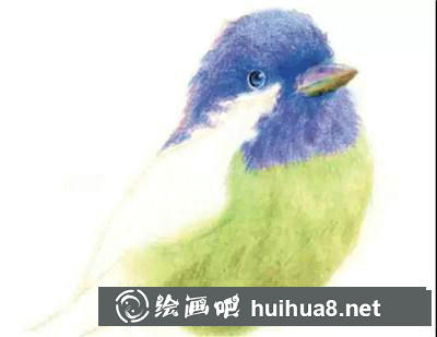 山雀彩鉛