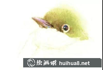 山雀彩鉛