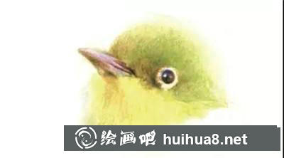山雀彩鉛