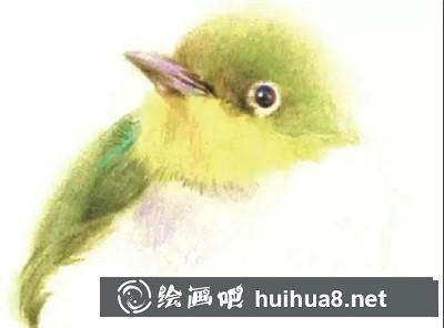 山雀彩鉛