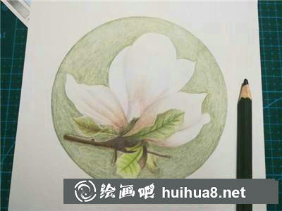 玉蘭花彩鉛