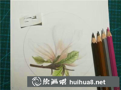 玉蘭花彩鉛