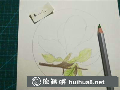 玉蘭花彩鉛