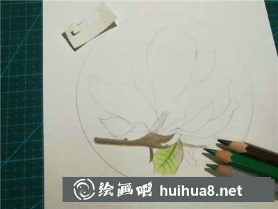 玉蘭花彩鉛