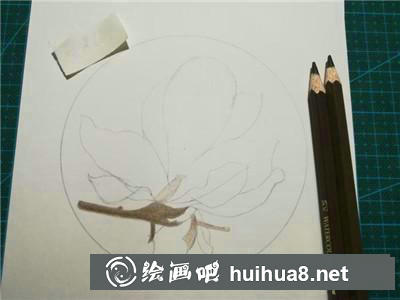 玉蘭花彩鉛