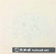 西府海棠水彩畫教程入門攻略