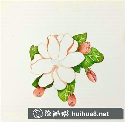 西府海棠水彩畫