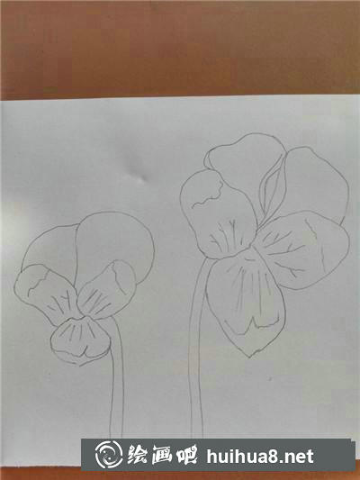 三色堇彩鉛 三色堇彩鉛