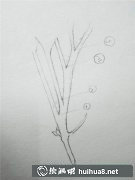 冬青插畫入門步驟
