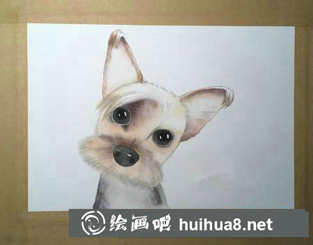 速寫教程