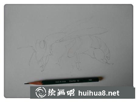 彩鉛畫教程