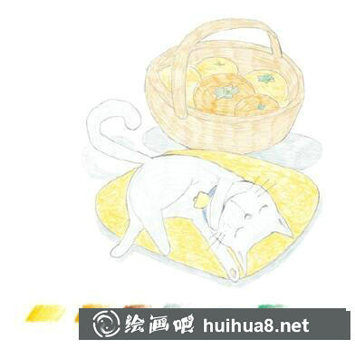 睡著的貓彩鉛畫(huà)教程