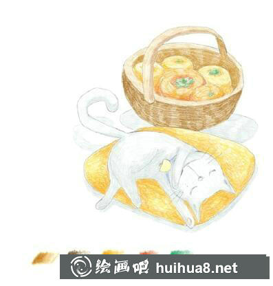 睡著的貓彩鉛畫(huà)教程