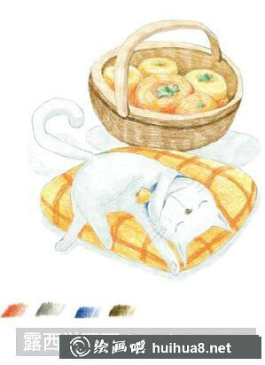 睡著的貓彩鉛畫(huà)教程