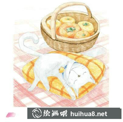 睡著的貓彩鉛畫(huà)教程