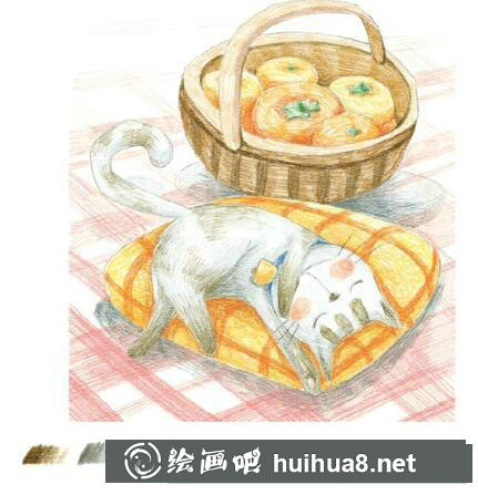 睡著的貓彩鉛畫(huà)教程