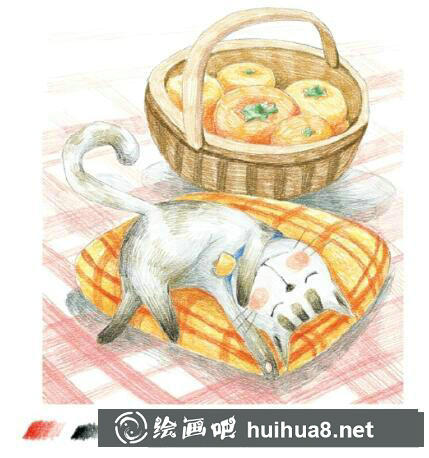 睡著的貓彩鉛畫(huà)教程