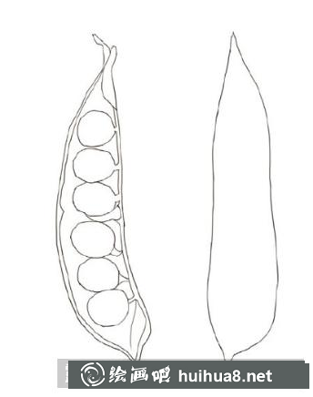 四季豆兒童畫