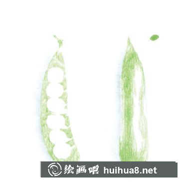 四季豆兒童畫
