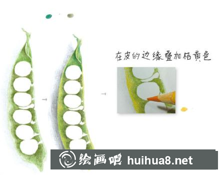 四季豆兒童畫
