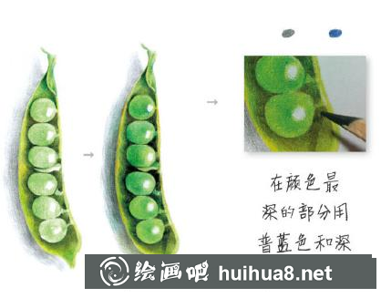 四季豆兒童畫