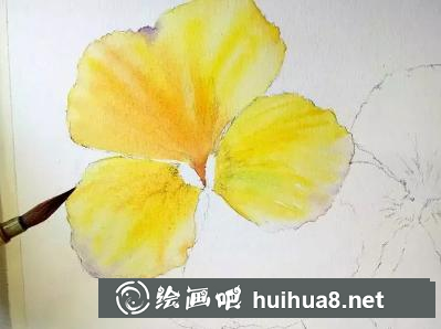 水彩畫(huà)三色堇紫色花瓣