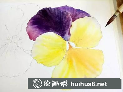 水彩畫(huà)三色堇紫色花瓣細(xì)節(jié)