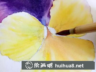 水彩畫(huà)三色堇花心細(xì)節(jié)