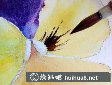 水彩畫(huà)三色堇花瓣花紋