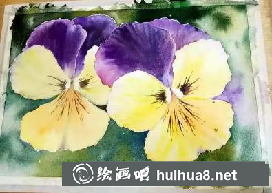 水彩畫(huà)三色堇背景處理
