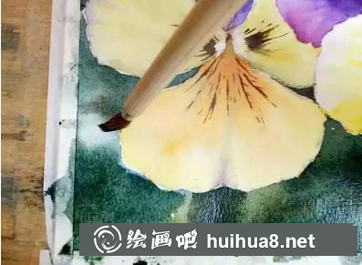 水彩畫(huà)三色堇背景細(xì)節(jié)
