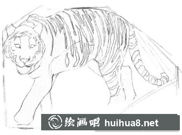 素描畫老虎