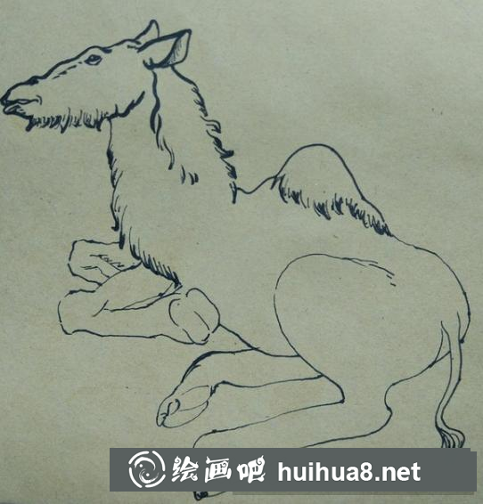 駱駝的畫法