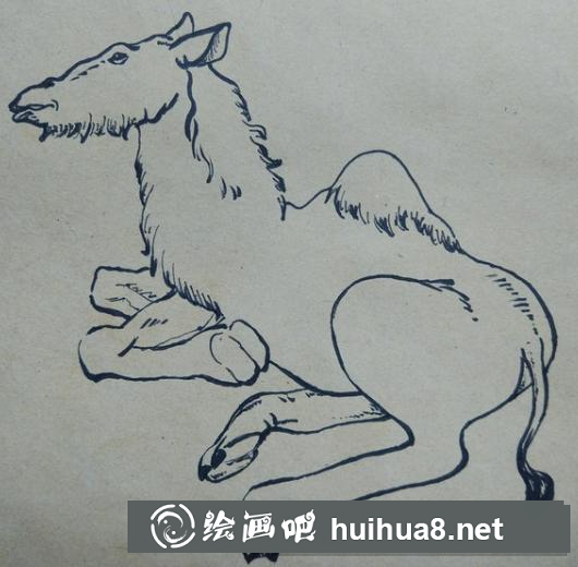 駱駝的畫法