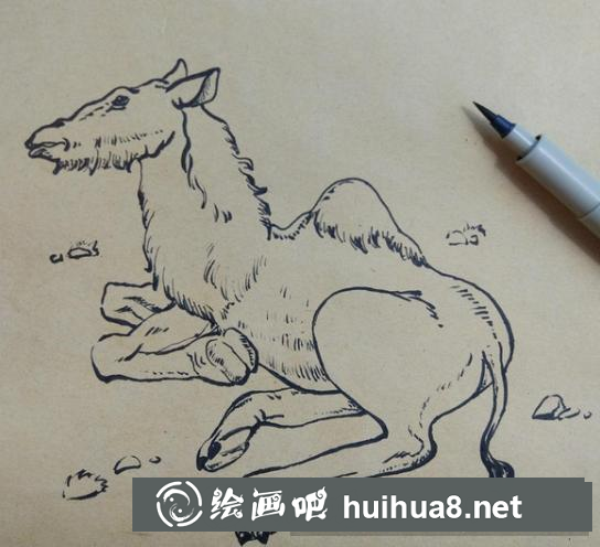 駱駝的畫法