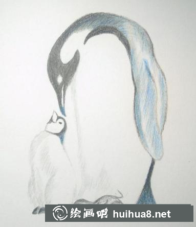 彩鉛畫企鵝