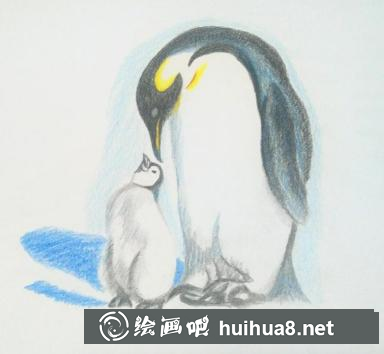 彩鉛畫企鵝